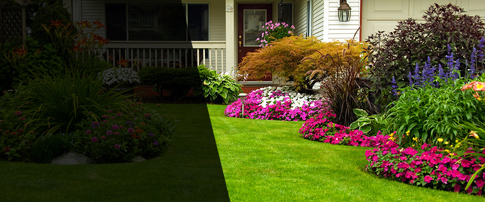 Rochelle Landscapers