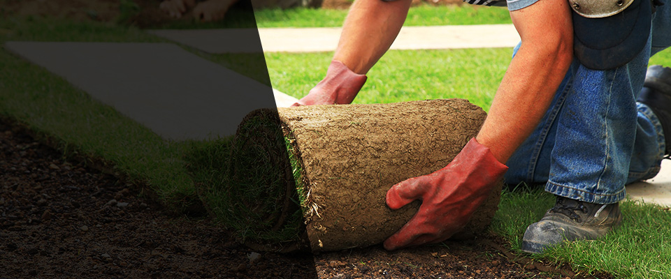 Rochelle Landscapers